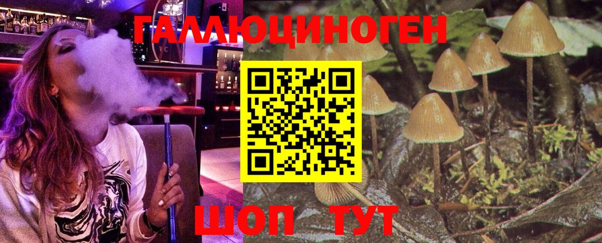 Псилоцибиновые грибы Psilocybine cubensis  наркотики  Ржев  Вход с VPN 